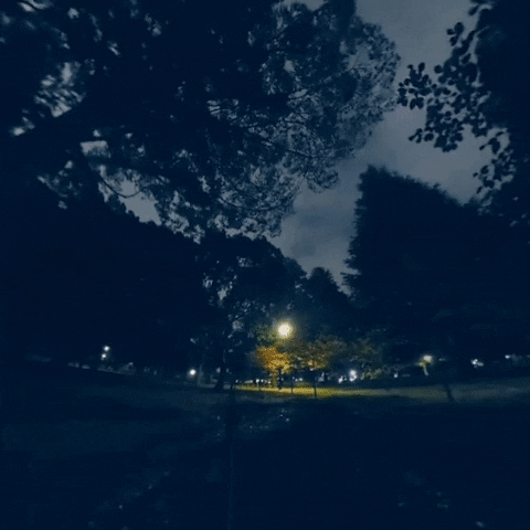 IQUISPIN giphyupload halloween japan ghosts GIF