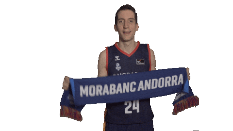 Liga Endesa Basketball Sticker by ACB