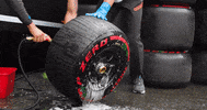 Formula 1 Sport GIF by McLaren