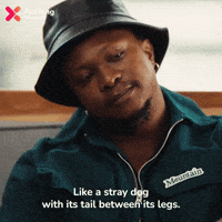 GIF by Showmax