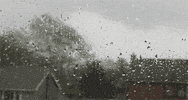 rain GIF