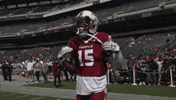Tu GIF by Temple Owls