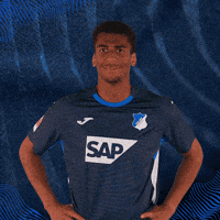 Sport Bundesliga GIF by TSG Hoffenheim