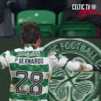 Celtic Fc Sport GIF by Celtic Football Club