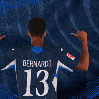 Sport Bundesliga GIF by TSG Hoffenheim