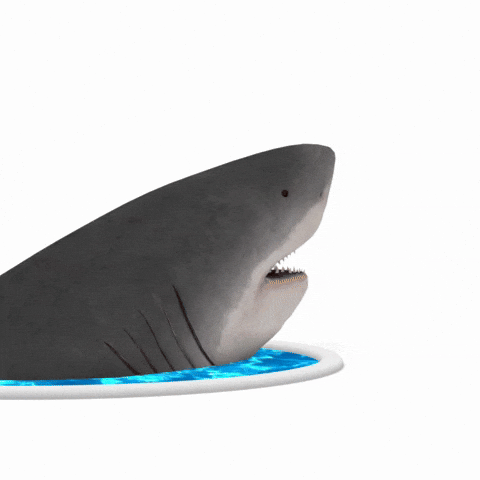Shark GIF