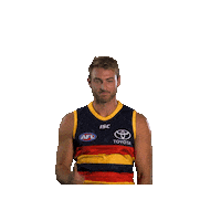 not in my house sticker by Adelaide Crows