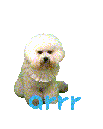 아르르 Sticker by arrr_official