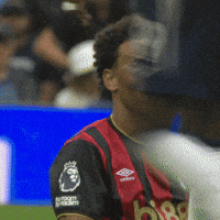 Premier League Laughing GIF by AFC Bournemouth