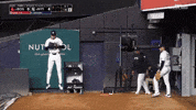 Jumping New York Yankees GIF by MLB
