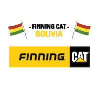 Finning finning cat finning sudamerica finningcat finninglatam Sticker