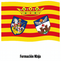 Comunidad Valenciana Flag GIF by Formación Ninja