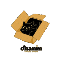 Cat Nih Sticker by FVO Alimentos