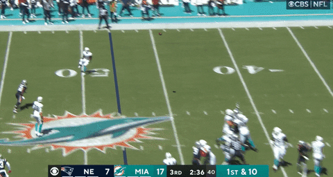 michaelfhurley giphyupload raheemmostert GIF