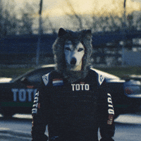 Formula 1 Reaction GIF by Toto