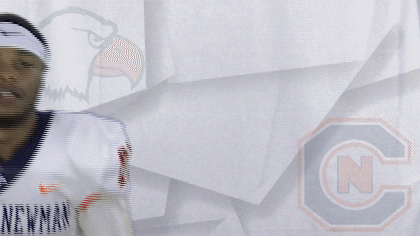Carson Newman Football GIF by Carson-Newman Athletics