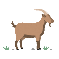 Goat Ziege Sticker by Visit Austria