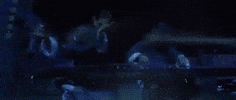 kung fu hustle GIF