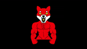 Angry Shiba GIF