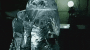 Cold Shoulder GIF by Adele