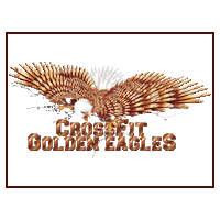 weareeagles crossfitasola Sticker by Crossfit Golden Eagles