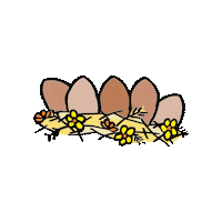 Chickens Nest Sticker