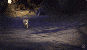 Scared The Elder Scrolls Online GIF by Xbox