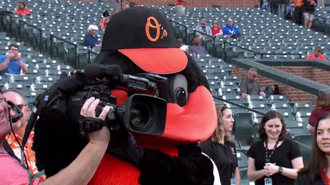 orioles giphyupload camera mascot baltimore GIF