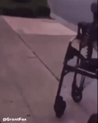 Skeleton Dance GIF