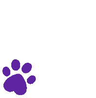 Paws Pawprint Sticker by Petco Love