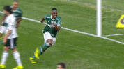 dance comemoracao GIF by SE Palmeiras