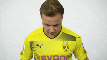 borussia dortmund yes GIF by Bundesliga