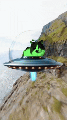 Cat Ufo GIF