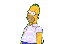 homer STICKER