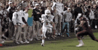 texas am vs GIF