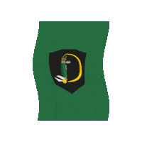 DeluminatorsDresdenQuidditch dresden quidditch iqa quadball Sticker