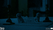 acorn-tv scary spooky creepy swedish GIF