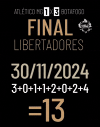 Libertadores Bfr GIF