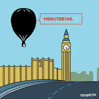 London Fox GIF by gifnews