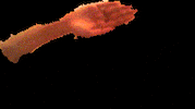 mandacura GIF