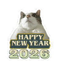 Happy New Year Cat Sticker