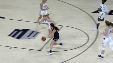 utah state womansbasketball GIF by USUAthletics