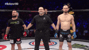 knock out fight GIF by Bellator