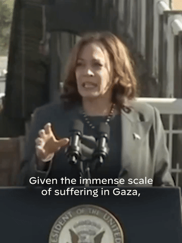 Kamala Harris Calls for 6 Week Ceasefire in Gaza