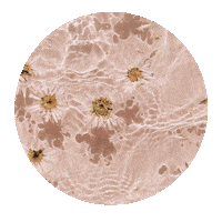 Girl Pink Sticker