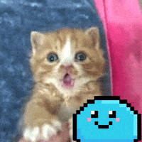 Memecoin Xrp GIF by $DROP