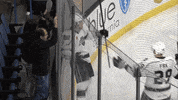 Reignhockey GIF by Ontario Reign