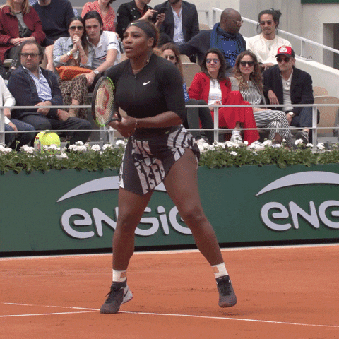 Roland-Garros giphyupload serena rg serena williams GIF