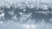 GIF by Central Valley Honda Dealers