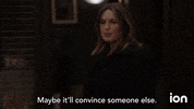 Law And Order Svu GIF by ION